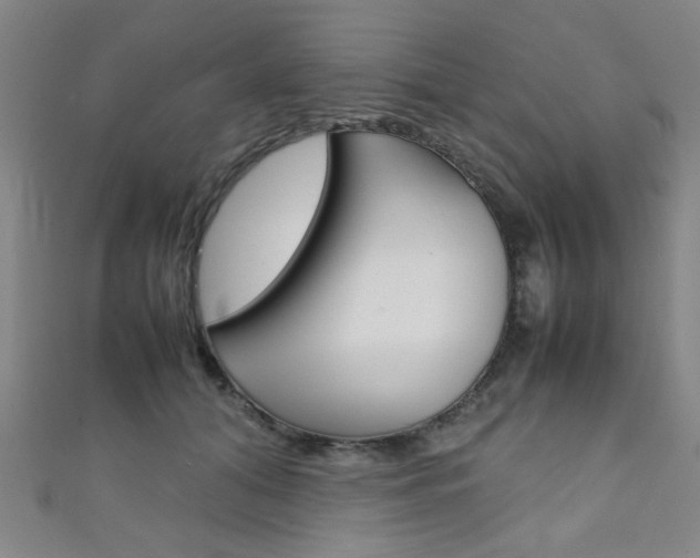 X0000111350608200907100936