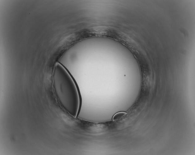 X0000111350609200907100936