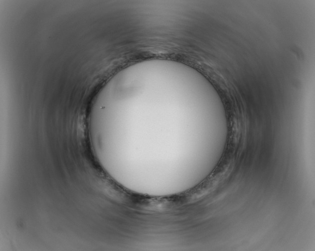 X0000111350612200907100936