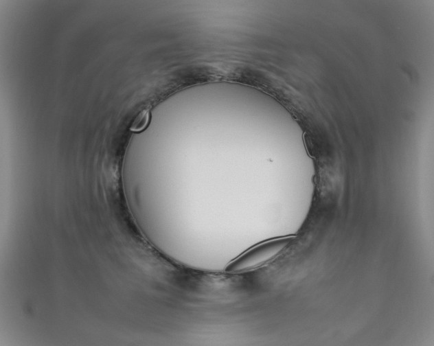 X0000111350613200907100936