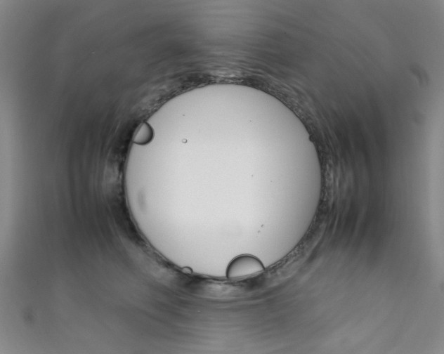 X0000111350614200907100936