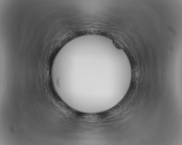 X0000111350615200907100936