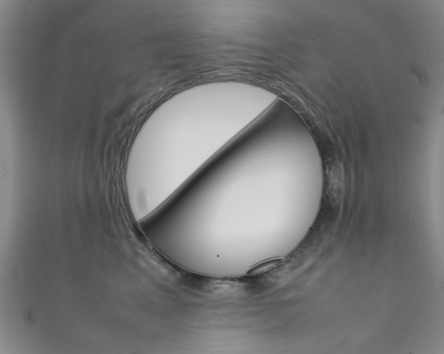 X0000111350617200907100936