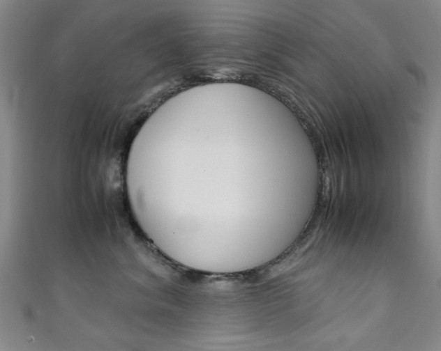 X0000111350620200907100936