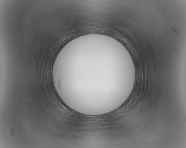 X0000111350621200907100936