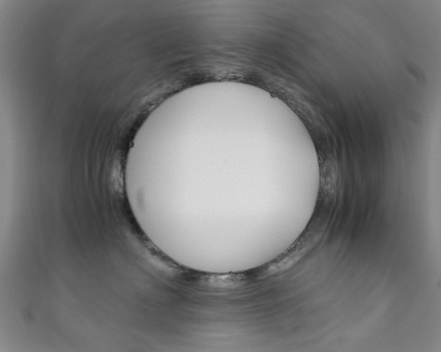 X0000111350622200907100936