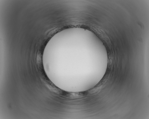 X0000111350623200907100936