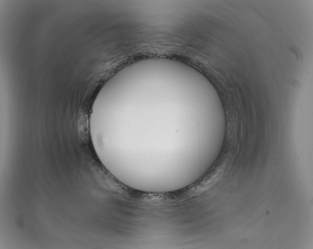 X0000111350624200907100936