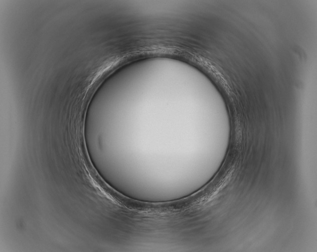 X0000111350625200907100935