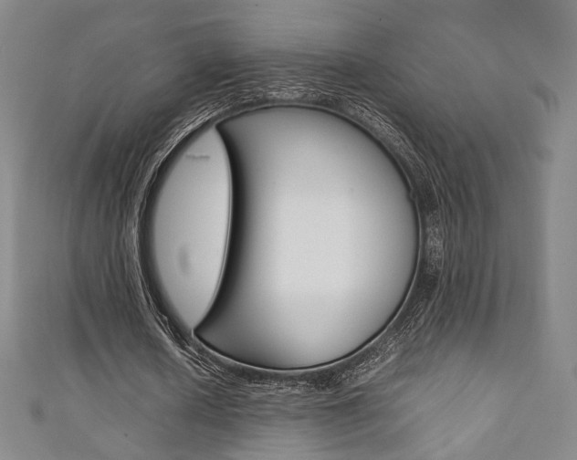 X0000111350626200907100935