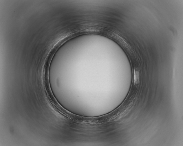 X0000111350627200907100935