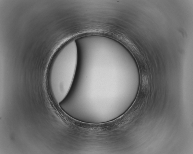 X0000111350628200907100935