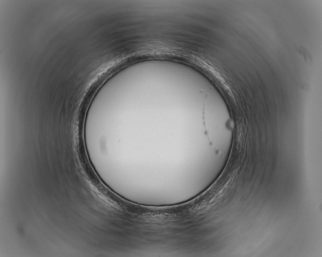 X0000111350629200907100935