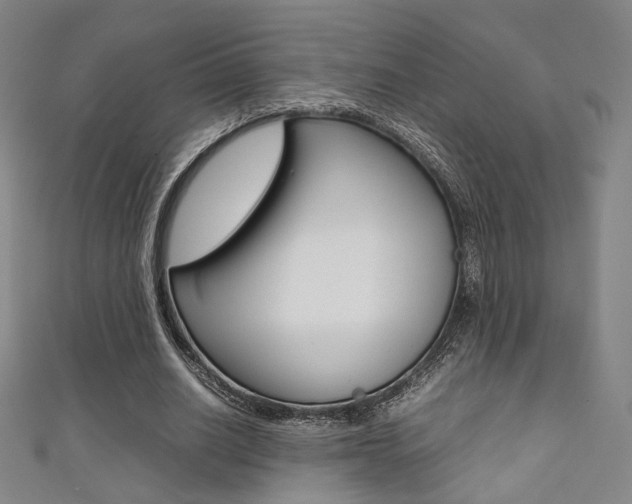 X0000111350630200907100935