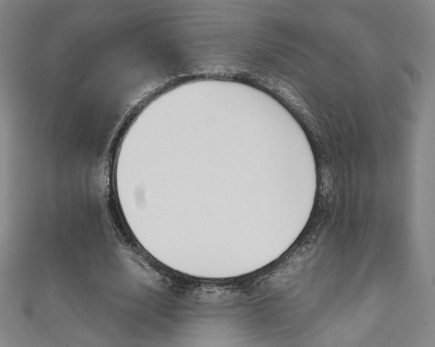 X0000111350632200907100935