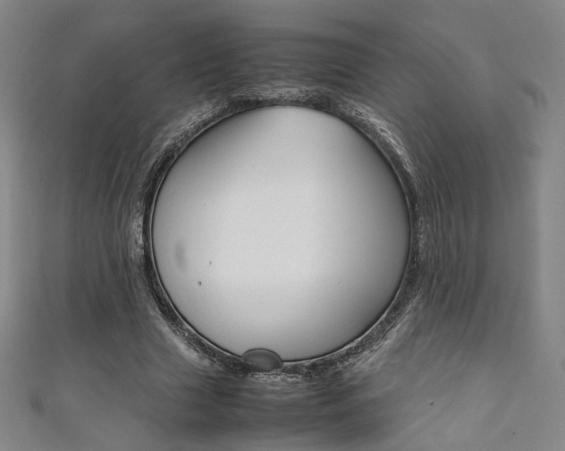 X0000111350633200907100935