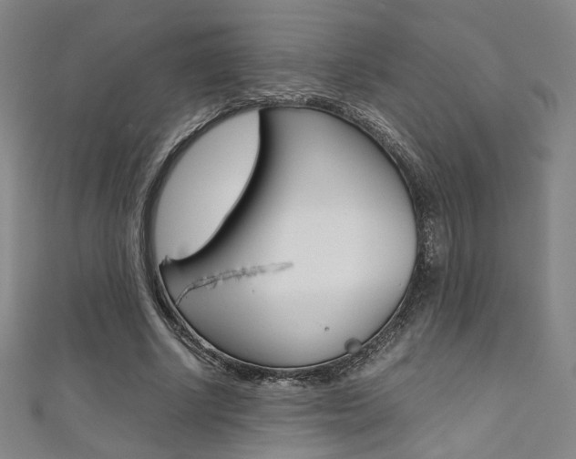 X0000111350634200907100936