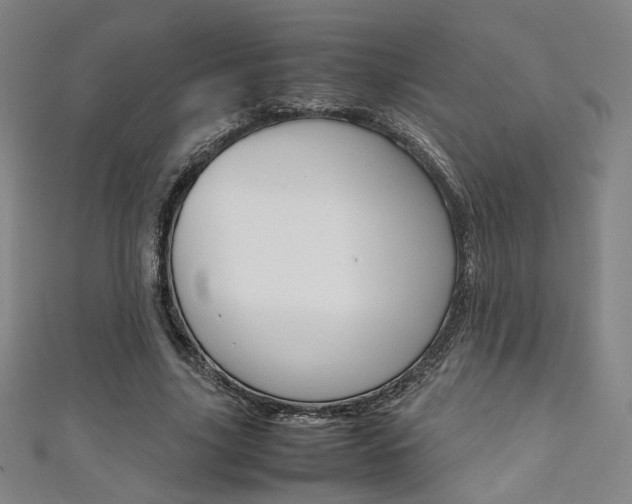 X0000111350635200907100936