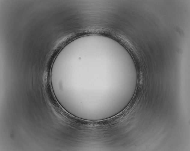 X0000111350636200907100936