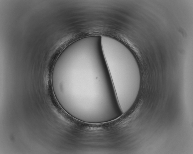 X0000111350637200907100936