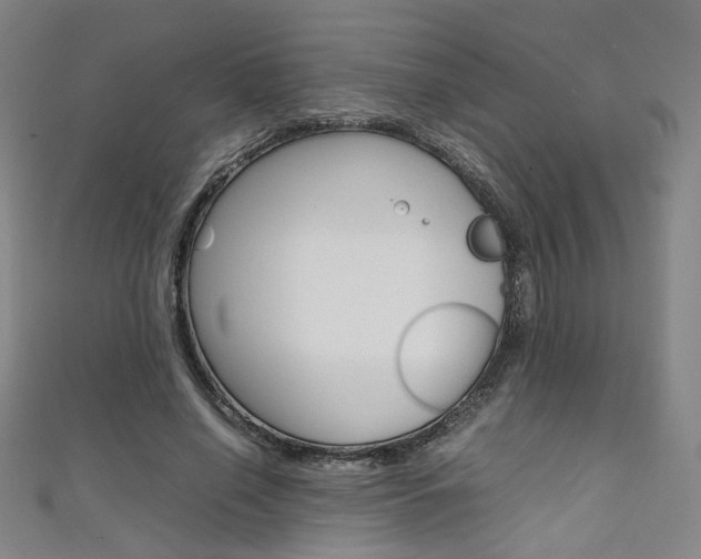 X0000111350638200907100936