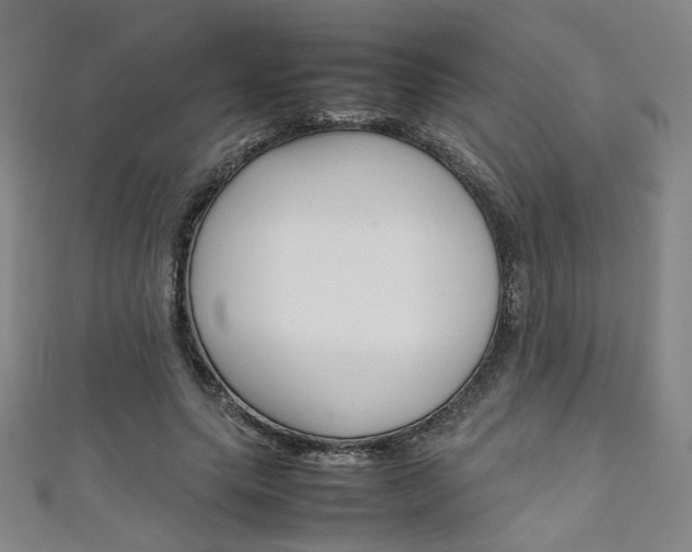 X0000111350639200907100936