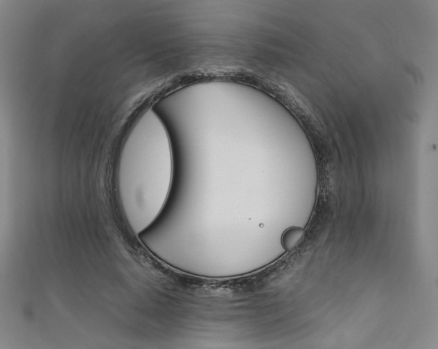 X0000111350640200907100936