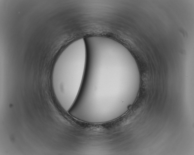 X0000111350642200907100936