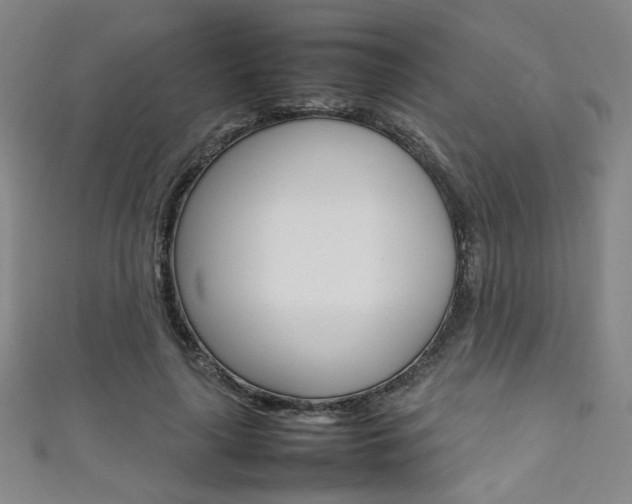 X0000111350643200907100936