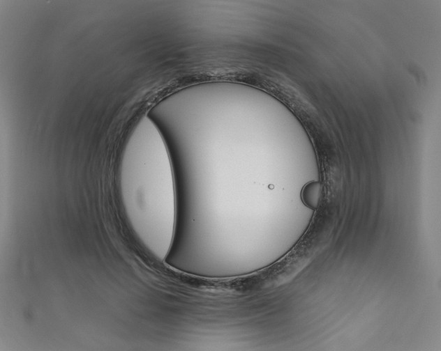 X0000111350644200907100936