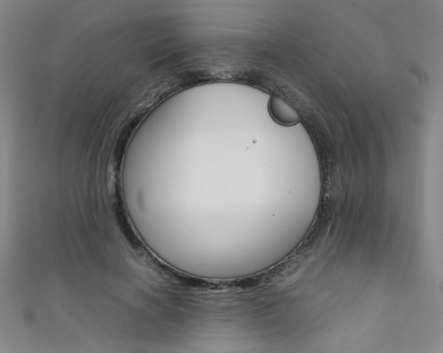 X0000111350646200907100936