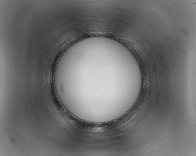 X0000111350647200907100936