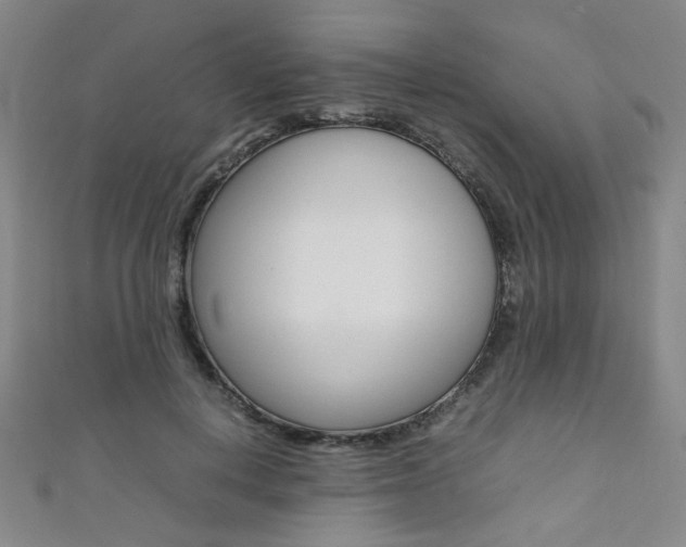 X0000111350648200907100936