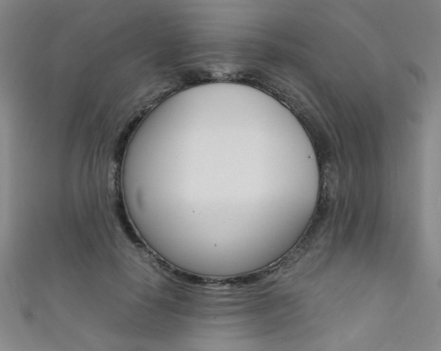 X0000111350650200907100936