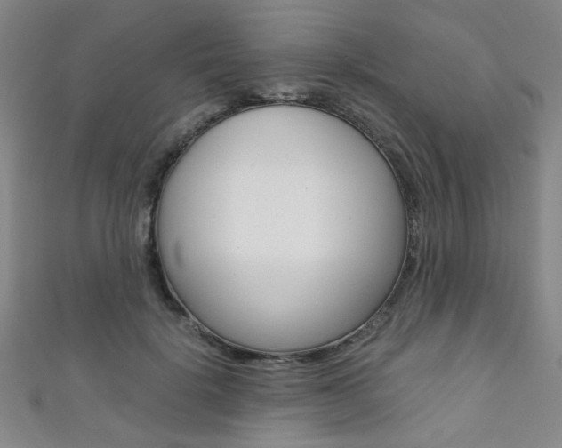 X0000111350652200907100936