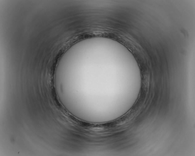 X0000111350653200907100936