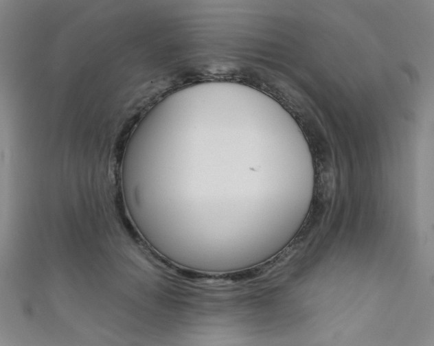 X0000111350654200907100936