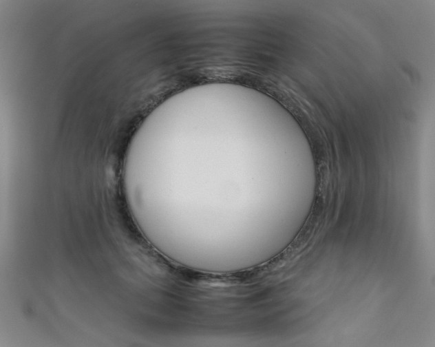 X0000111350655200907100936