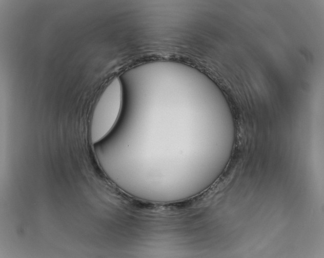 X0000111350656200907100936