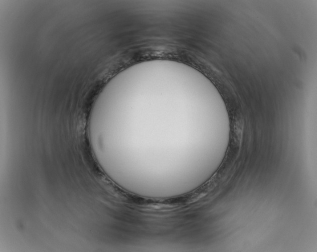 X0000111350657200907100936