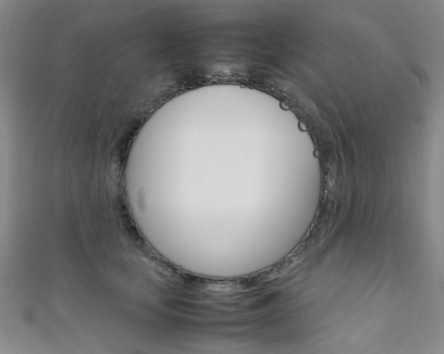 X0000111350659200907100936