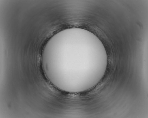 X0000111350660200907100936