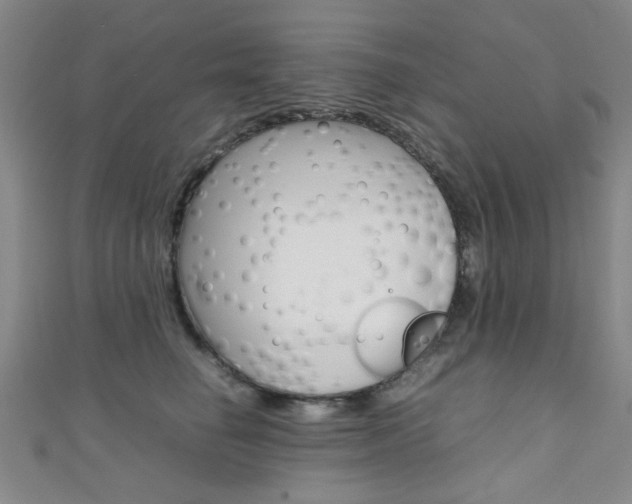 X0000111350662200907100936