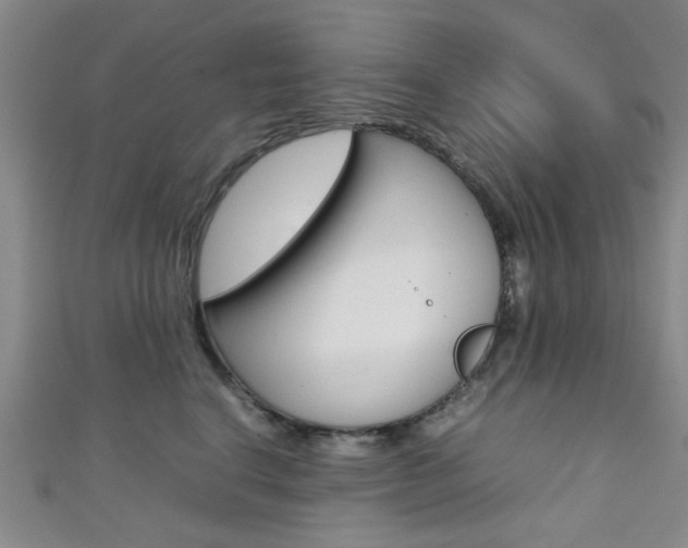 X0000111350664200907100936