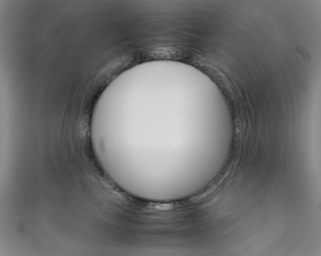 X0000111350665200907100936