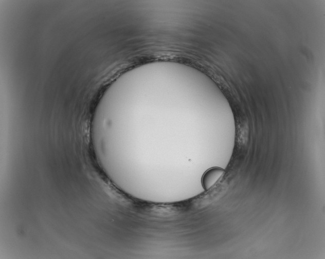 X0000111350666200907100936