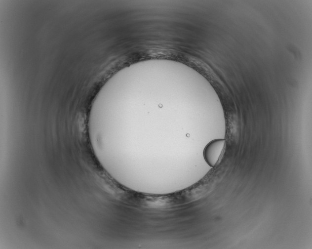 X0000111350667200907100936