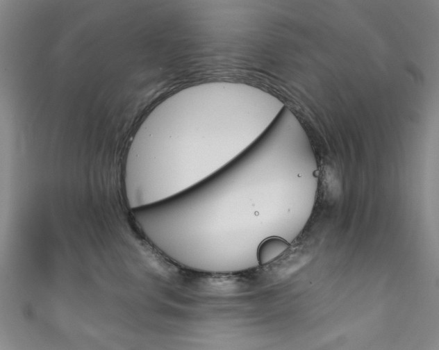 X0000111350668200907100936