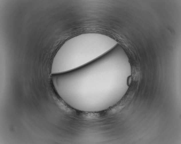 X0000111350670200907100936