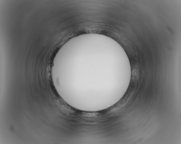 X0000111350671200907100936